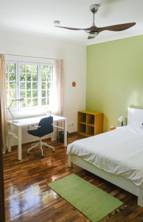Lava Acores Coliving & Coworking Ribeira Grande Ngoại thất bức ảnh