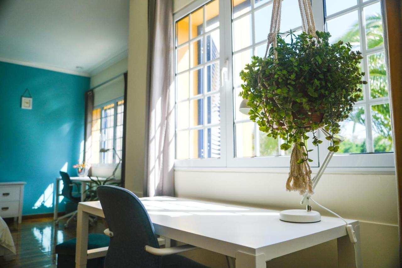 Lava Acores Coliving & Coworking Ribeira Grande Ngoại thất bức ảnh