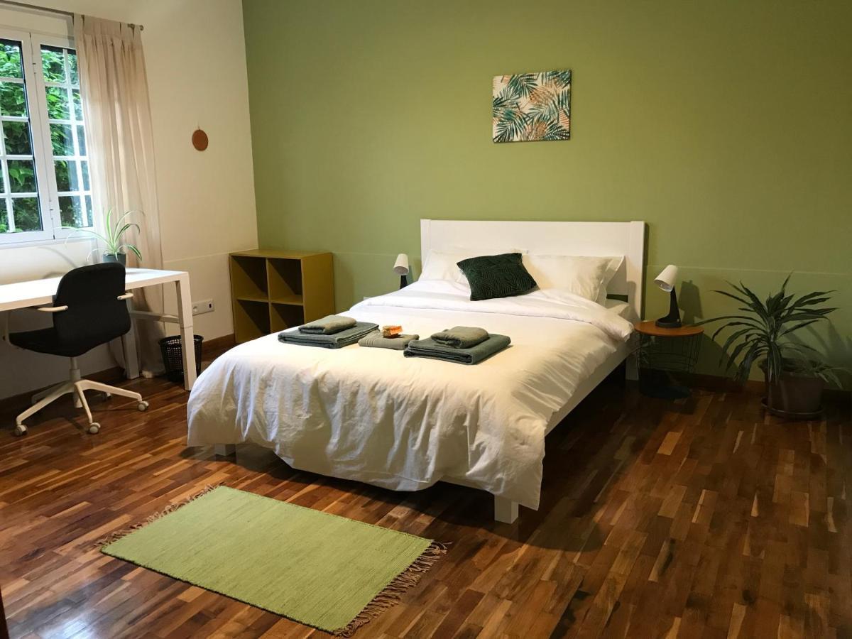 Lava Acores Coliving & Coworking Ribeira Grande Ngoại thất bức ảnh