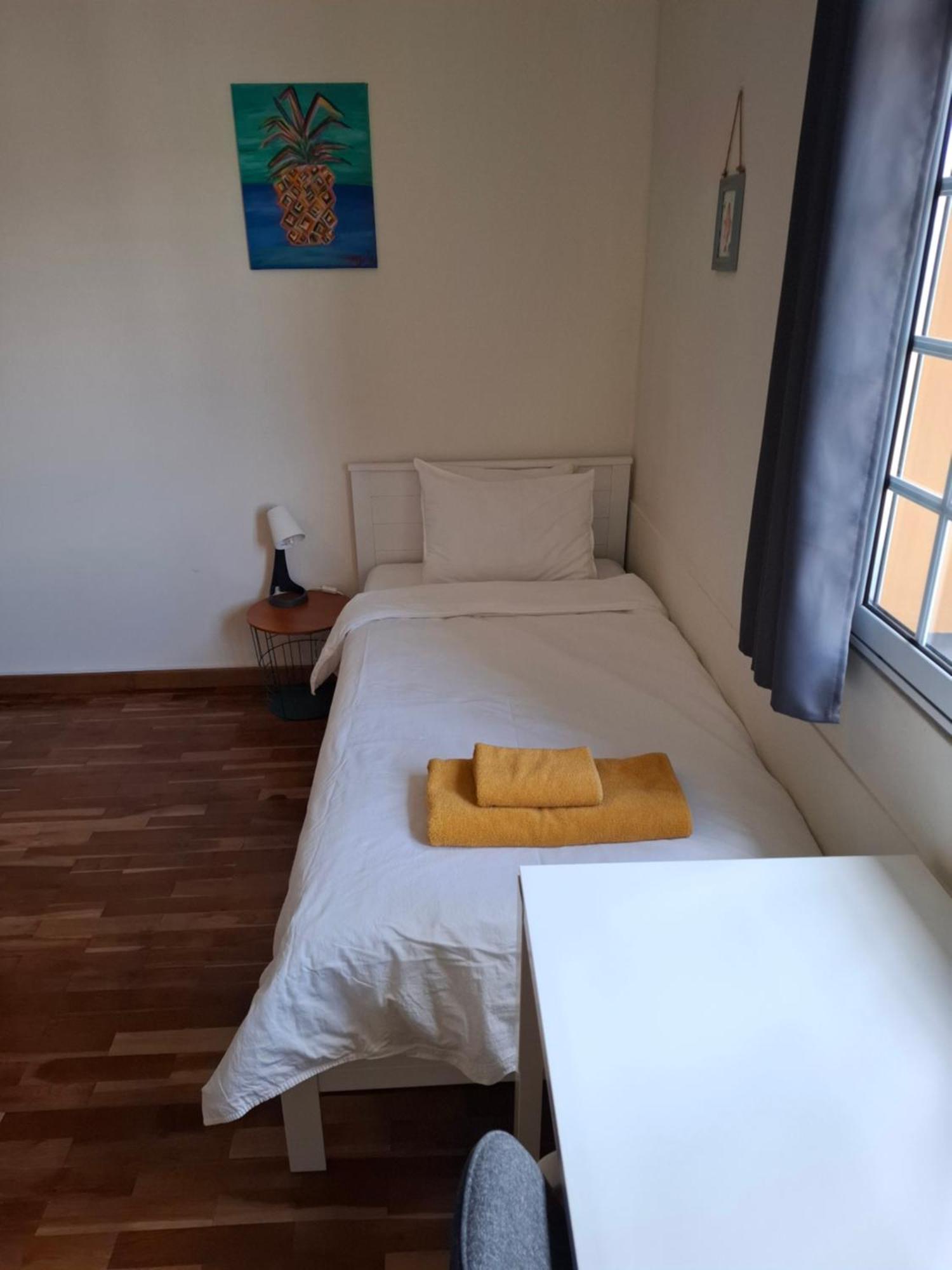 Lava Acores Coliving & Coworking Ribeira Grande Ngoại thất bức ảnh